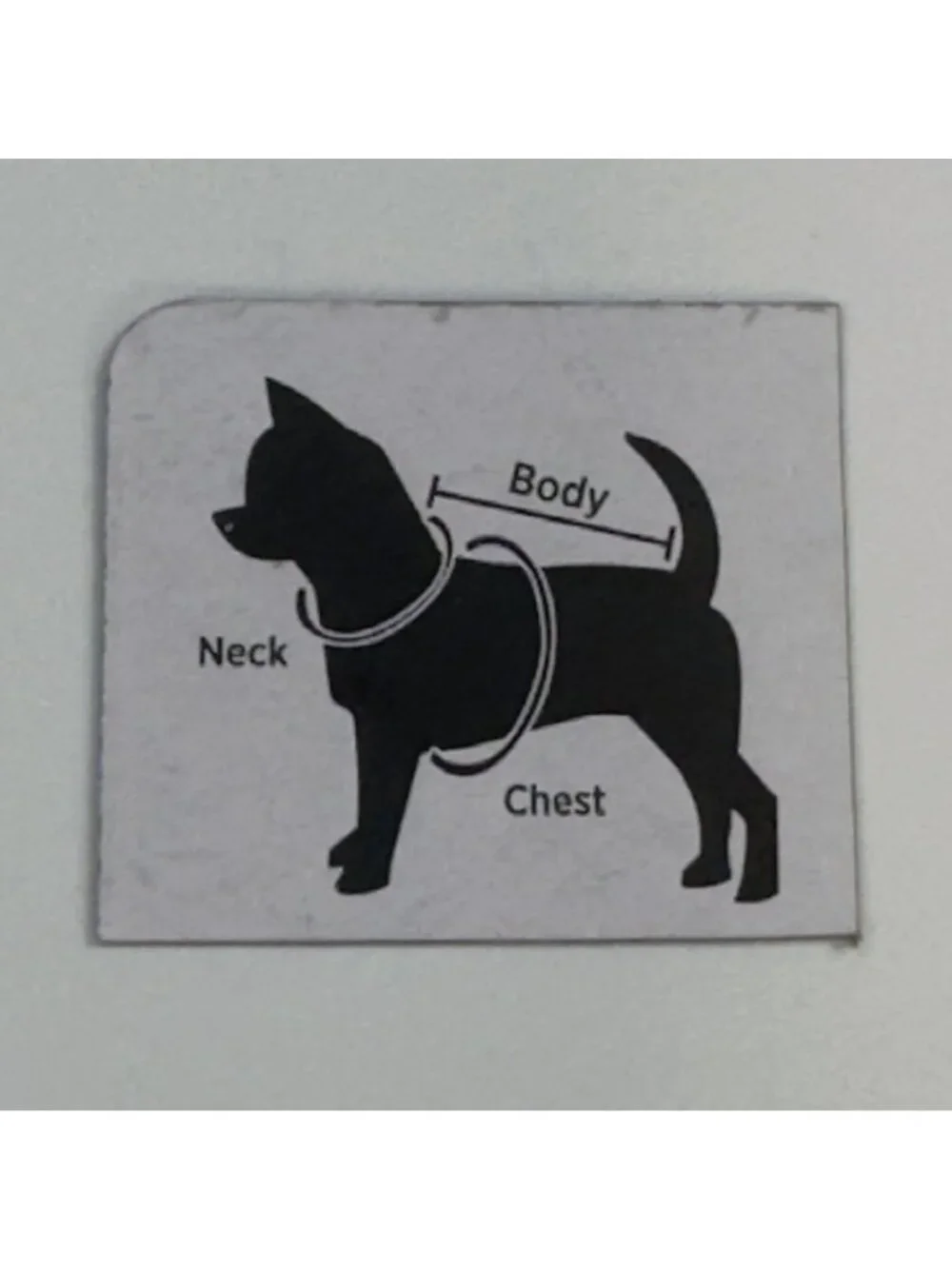 Novelty Pet Halloween Tee Small 